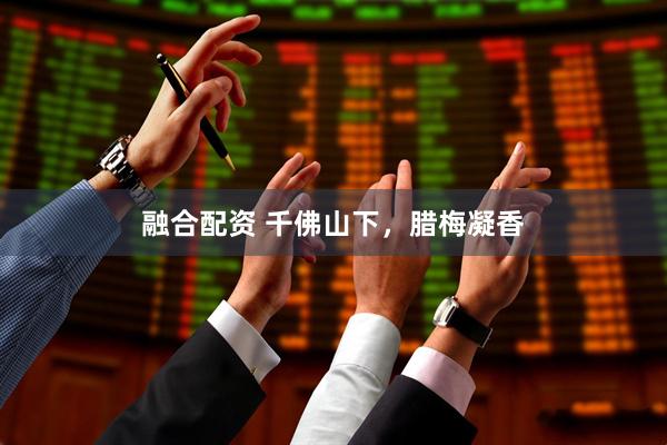 融合配资 千佛山下，腊梅凝香