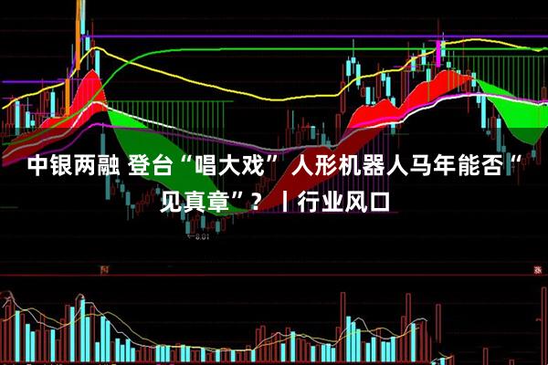 中银两融 登台“唱大戏” 人形机器人马年能否“见真章”？丨行业风口