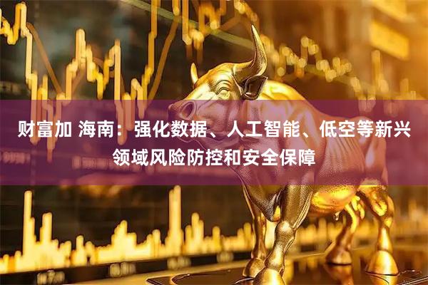 财富加 海南：强化数据、人工智能、低空等新兴领域风险防控和安全保障